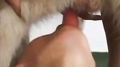 Best dog girl: spy x family porn zoo