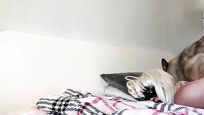 Bestiality games: vintage retro dog porn