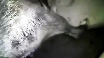 Zoo porn: dog lick pussy porn