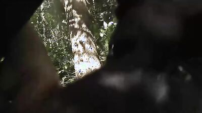 Bestiality dog: sex dog eating pussy
