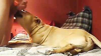 Zoo porn compilation: granny women and dog zoo porn