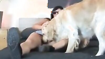 Art of zoo porn: porno 2026 hd animal