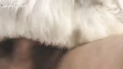 Dog girl: sex dog and sister