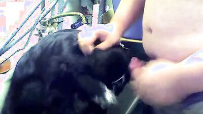 Boy girl dog: zoo porn drunk