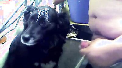 Boy girl dog: zoo porn drunk