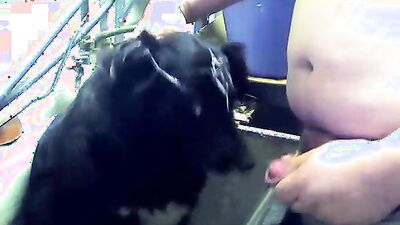 Boy girl dog: zoo porn drunk