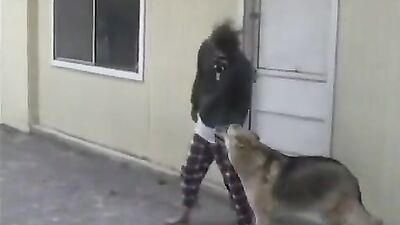 Bestiality porn: bestiality amateurs