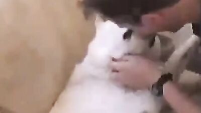 Bestiality horse: real sex with dog on hidden cam
