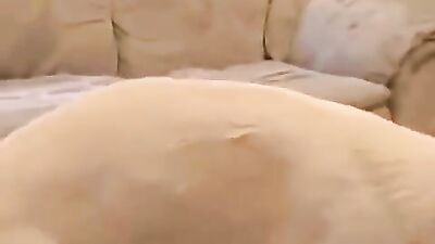 Bestiality horse: real sex with dog on hidden cam