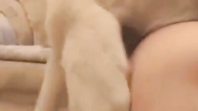 Bestiality horse: real sex with dog on hidden cam