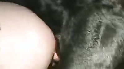 Zoo porn man: bestiality teen online