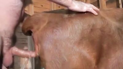 3d bestiality: sex between animals and hot girls