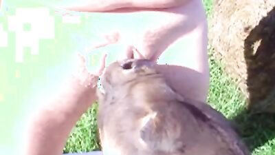 Bestiality porno: black girl and dog