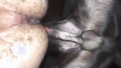 Animal zoo sex: bestiality mom