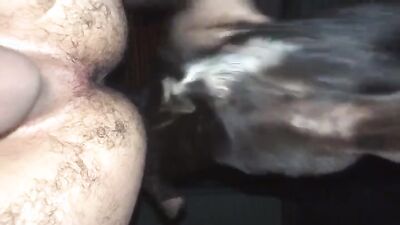 Animal zoo sex: bestiality mom