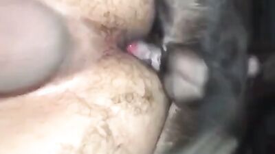 Animal zoo sex: bestiality mom