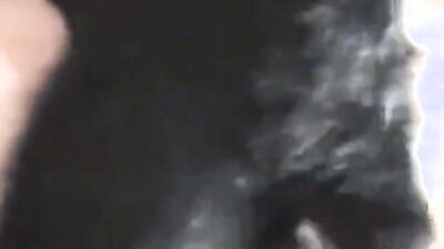Bestiality porn: dog humping young teen webcam sex shows
