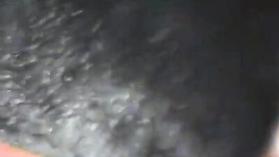 Bestiality porn: dog humping young teen webcam sex shows