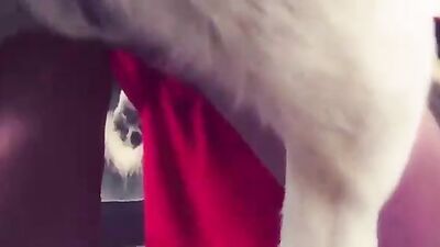 Zoo fucking porn: raven zoo sex