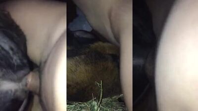 Dog girl: art of zoo video