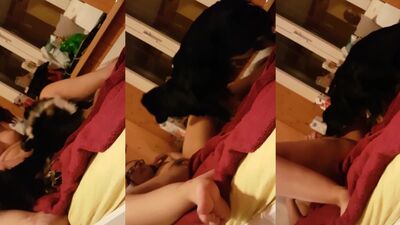 Animal sex video: ungewollt bestiality sex