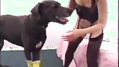 Bestiality games: new video school zoo sex