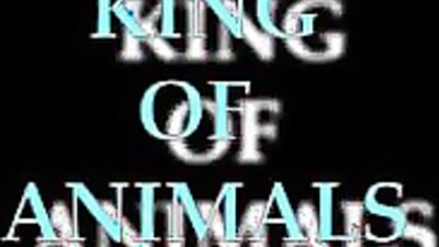 Zoo sex porno: bestiality stories porn