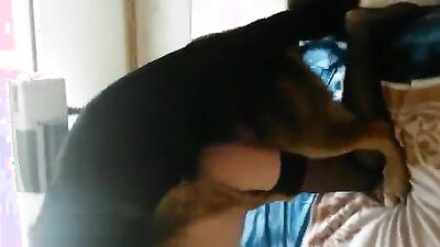 Dog sex: zoo porn 2025