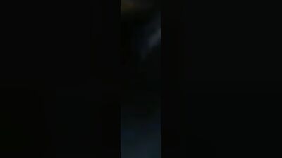 Dog sex: zoo porn 2025