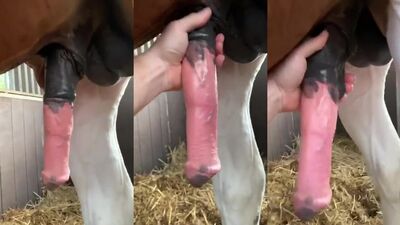 Zoo fuck porn: porn manga bestiality