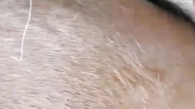 Zoo sex video: bestialzone porn zoo