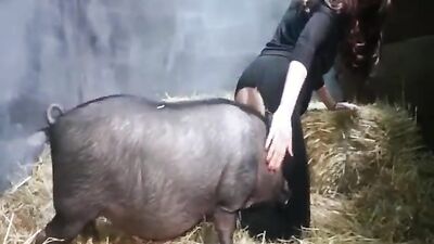 Dog girl anal: zoo horse cock porn
