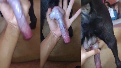 Dog sex porn: zoo porn young teen