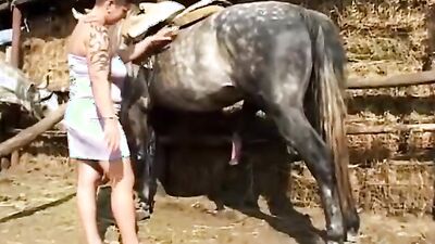 Zoophilia video: tf animals porno comics 18