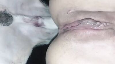 Russian zoo porn: 3d zoo sex video