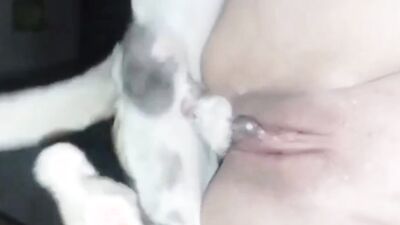 Russian zoo porn: 3d zoo sex video