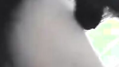 Dog's porn: cam video zoo porn
