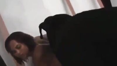 Animal porno: video shemale animal sex cum