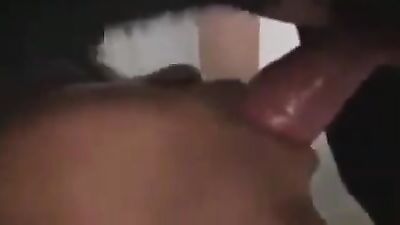 Animal porno: video shemale animal sex cum