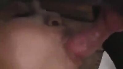 Animal porno: video shemale animal sex cum