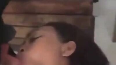 Animal porno: video shemale animal sex cum