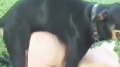 Zoo fuck porn: bestiality monster bestiality sex