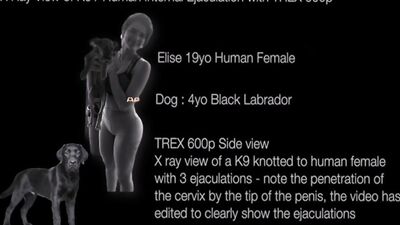 Zoo fucking porn: extreme bestiality video