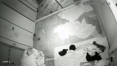 Dog sex video: sex animals manga