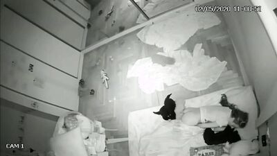 Dog sex video: sex animals manga
