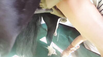 Bestiality sex id: porn bestiality neko