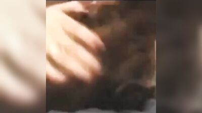 Zoo porn 2026: animal sex comix