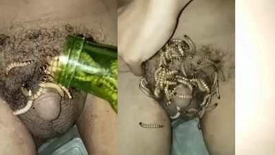 Gay zoo porn: poolside escapade zoophilia