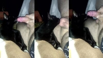 Mimi dog girl: sex fun dog