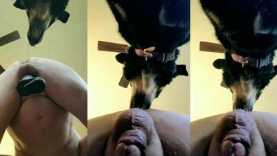 Russian zoo porn: zoo porn vip